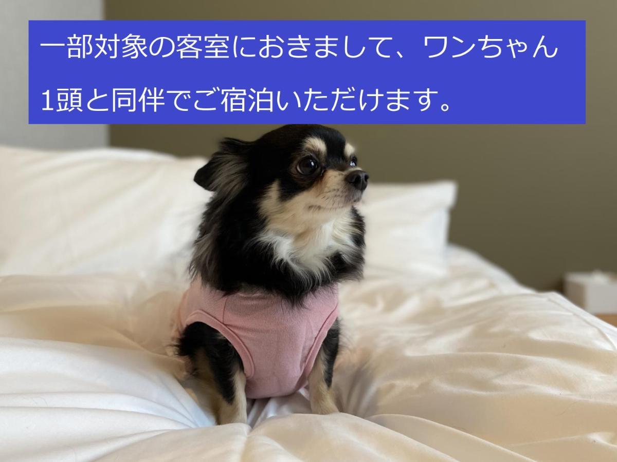 Imano Osaka Shinsaibashi Hostel Dış mekan fotoğraf